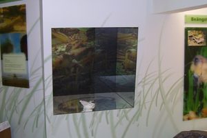 Haus der Schrecken