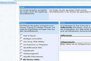 RWE-Geschäftsbericht 2002